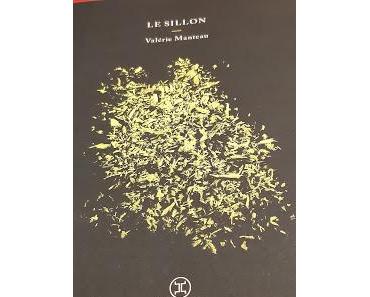 Les livres à l'épreuve du temps # 4 : Le sillon **** - Valérie Manteau