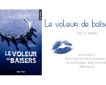 Le voleur de baisers • L.J. Shen