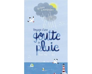 Voyage d’une goutte de pluie