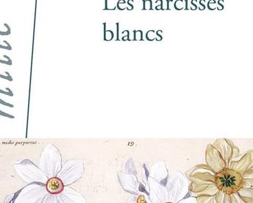 Les narcisses blancs