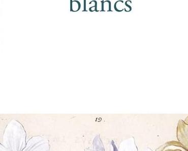 wallpaper-1689754