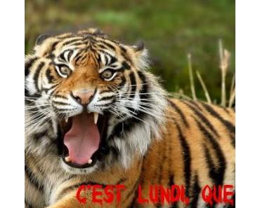 C’est lundi, que lisez-vous ?