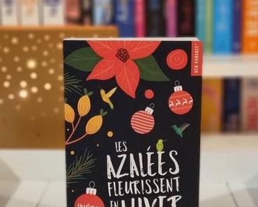 Les Azalées fleurissent en hiver | Dahlia Blake