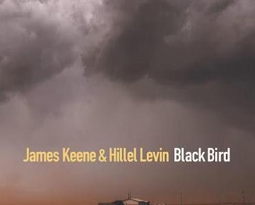 News : Black Bird - Keene & Levin (Sonatine)