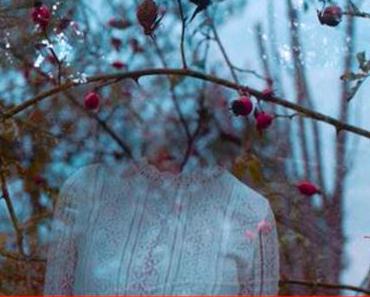 L’heure des oiseaux