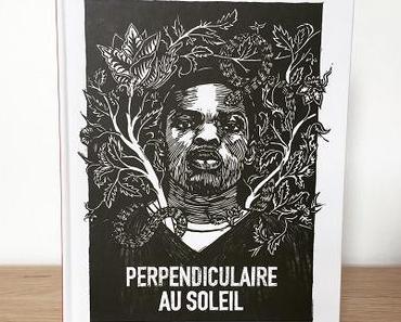 Perpendiculaire au soleil – Valentine Cuny-Le Callet