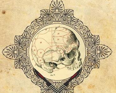 News : L'affaire de l'île Barbe - Stanislas Petrosky (Afitt)