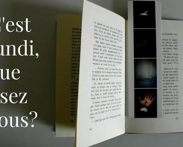 c’est lundi, que lisez-vous ?