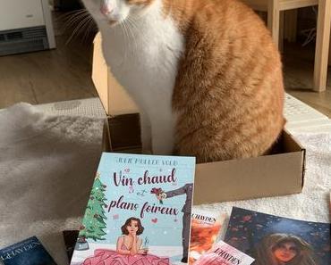 Vin chaud et plans foireux • Julie Muller Volb