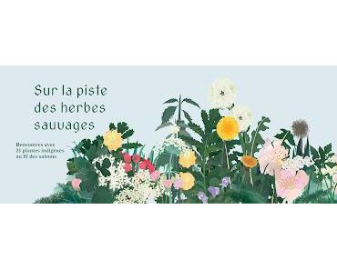 Découvrir 21 plantes de nos régions