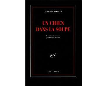 Un chien dans la soupe